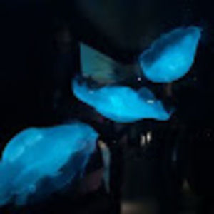 Meet your Posher, Ana sofia